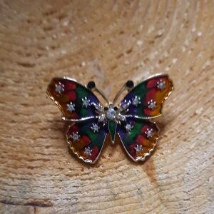 Vibrant Multicolor Butterfly Brooch